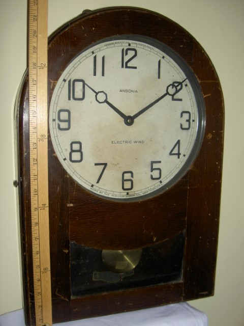 Ansonia 'Electric Wind'